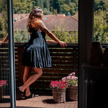 酒店 Landgasthaus & Zur Krone 3*