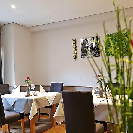 Landgasthaus & Zur Krone Дан