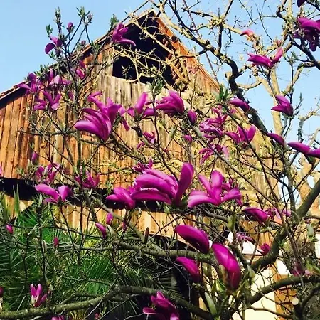 Landgasthaus & Zur Krone Dahn