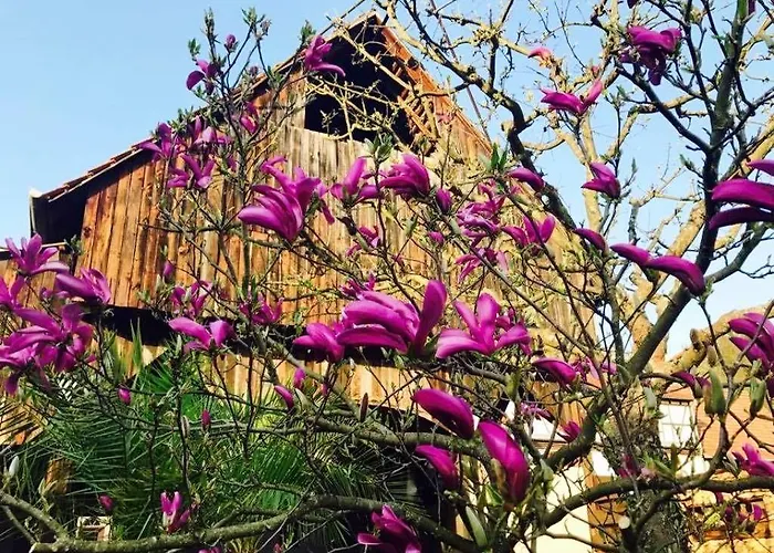 Landgasthaus & Zur Krone Dahn